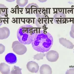 White blood cells ki janakari hindi me