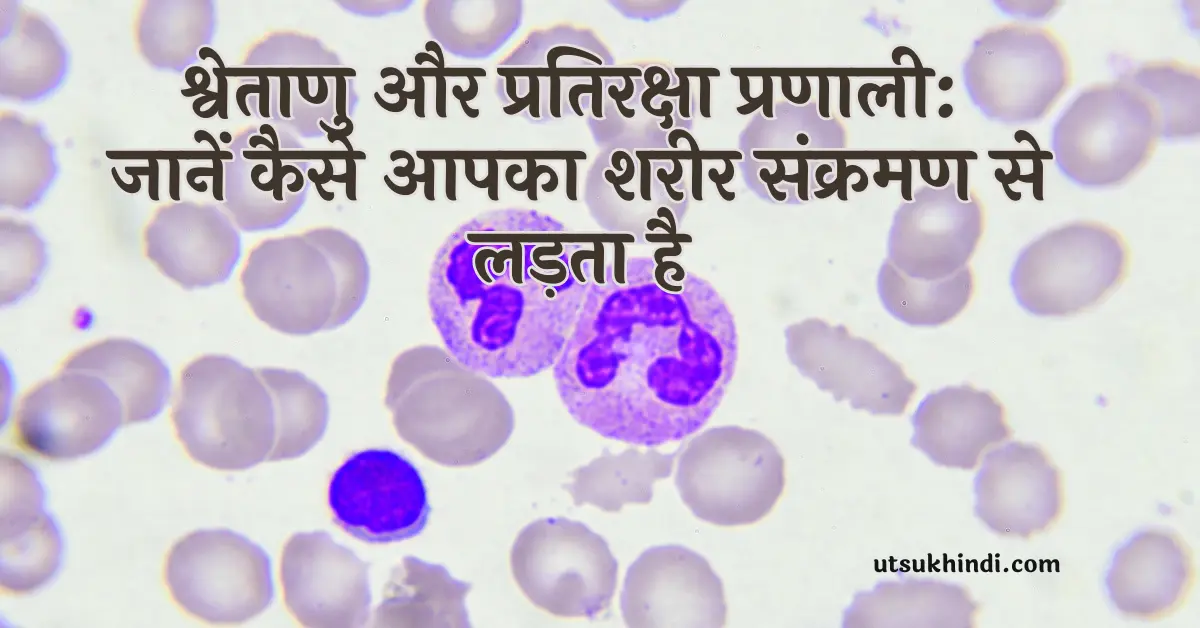 White blood cells ki janakari hindi me