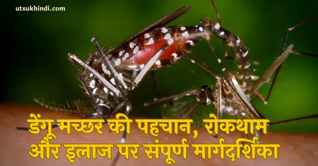 dengue-prevention_in_hindi