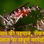 dengue-prevention_in_hindi